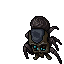 Gloom Widow