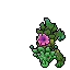 Peony