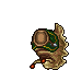 Tiger Slug