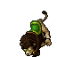 Noble Lion